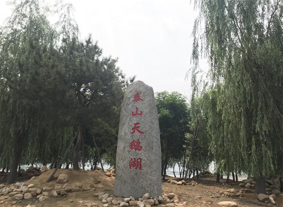 天鵝湖風(fēng)景區(qū)（泰山）速覽！(圖12)