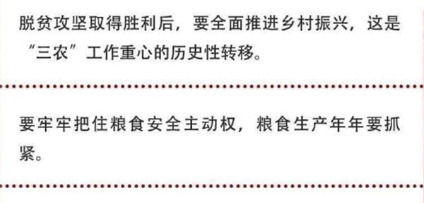 2020年中央農(nóng)村工作會議精神速覽！(圖2)