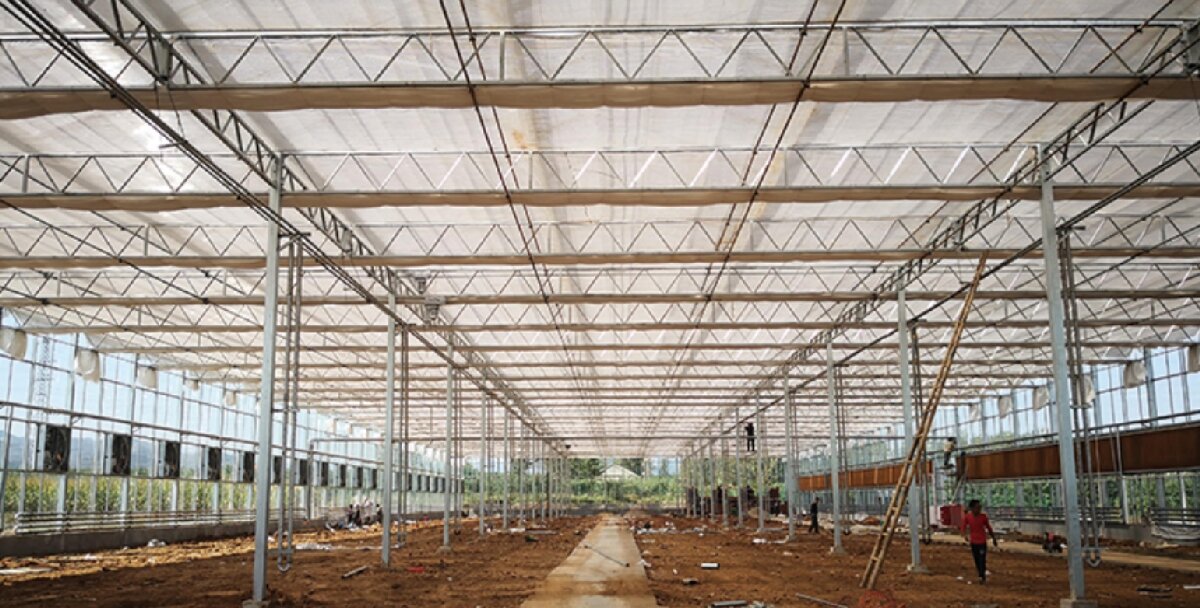 信橋鋼構(gòu)：打卡蒙陰農(nóng)業(yè)溫室大棚、青州黑牛養(yǎng)殖基地！(圖3)