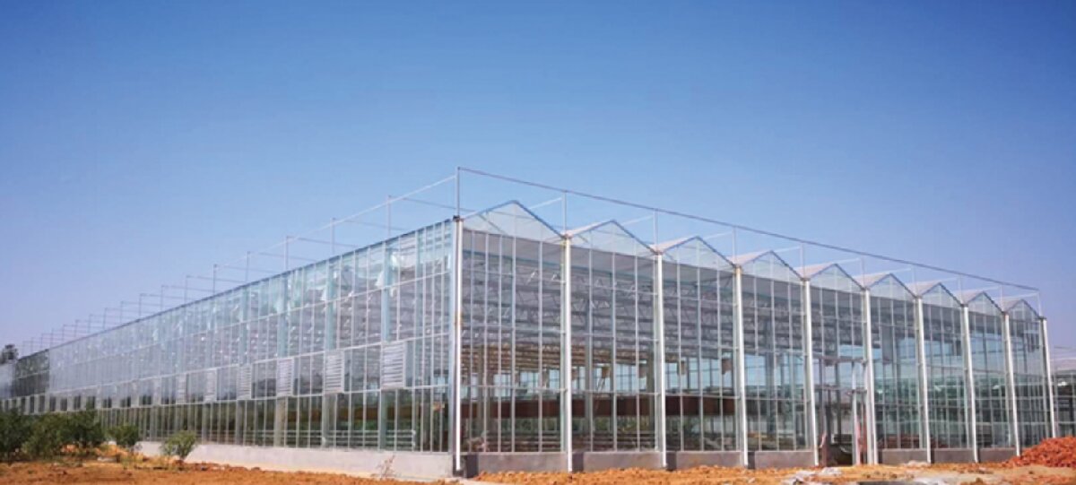 信橋鋼構(gòu)：打卡蒙陰農(nóng)業(yè)溫室大棚、青州黑牛養(yǎng)殖基地！(圖2)